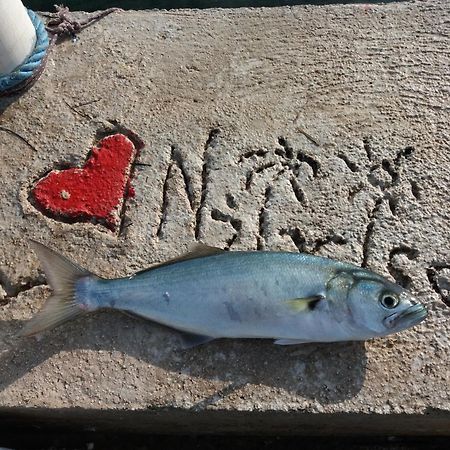 Apartment "I Love Njivice" تْشيرسيك نوفي المظهر الخارجي الصورة