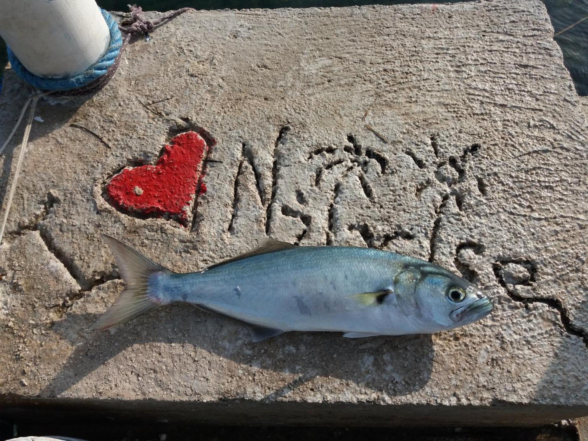 Apartment "I Love Njivice" تْشيرسيك نوفي المظهر الخارجي الصورة